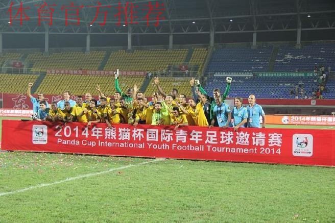 2014“熊猫杯”国际青少年足球发展研讨会举办