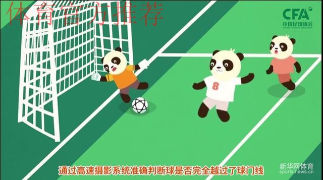 《熊猫说球》第九集：比赛开始与恢复，比赛进行与停止